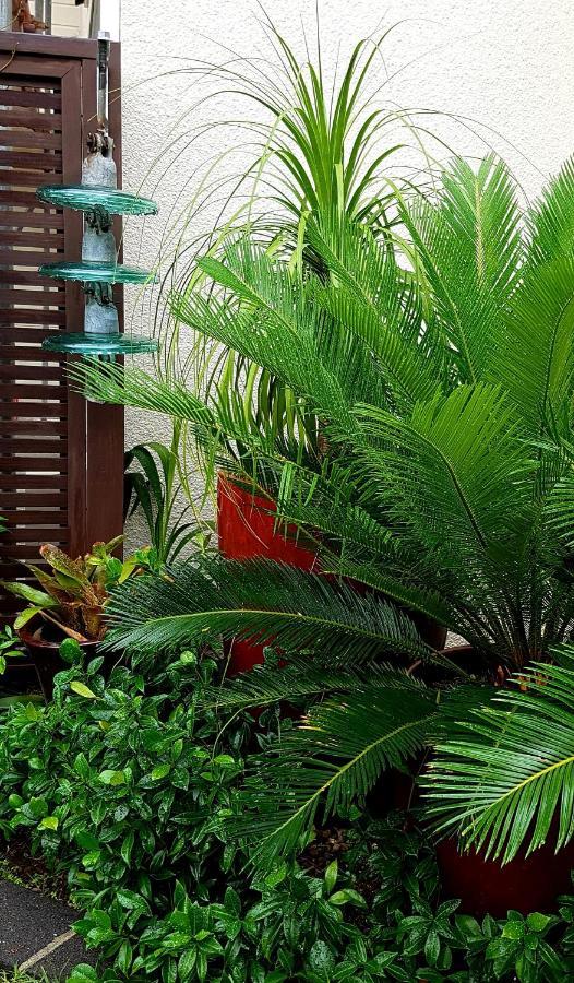 Central Oasis Daire Tauranga Dış mekan fotoğraf